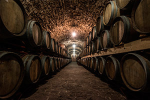 rutas personalizadas